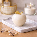 Marble Apple Paperweight - Best for Home Office Desk