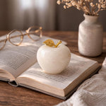Marble Apple Paperweight - Best for Home Office Desk