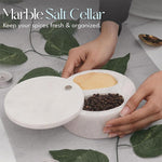Ideal Salt and Pepper Bowl with two compartments