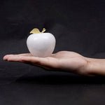 Marble Apple Paperweight - Best for Home Office Desk