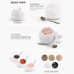White marble salt cellar set with lid and spoon, 3 inches wide, shown holding salt, chilli and pepper with five color variants