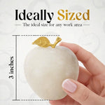 Marble Apple Paperweight - Best for Home Office Desk